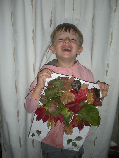 arbre avec feuille automne 12