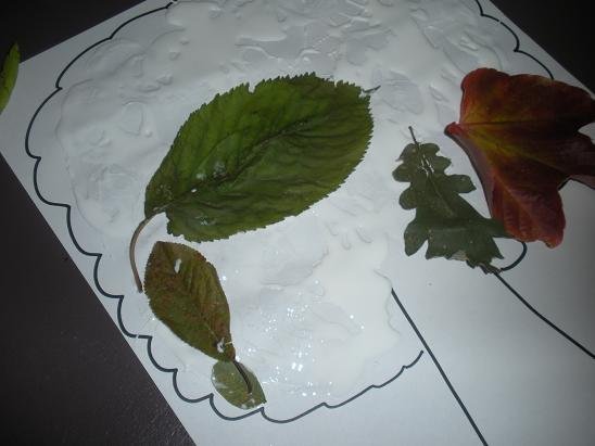 arbre avec feuille automne 7