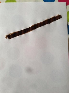 grappe de raisins automne 1