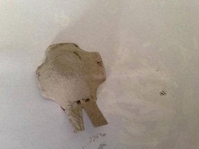 Masque de lapin pour carnaval avec boite à oeufs. faire masque lapin avec boite a oeufs 2