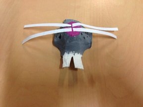 Masque de lapin pour carnaval avec boite à oeufs. faire masque lapin avec boite a oeufs 3