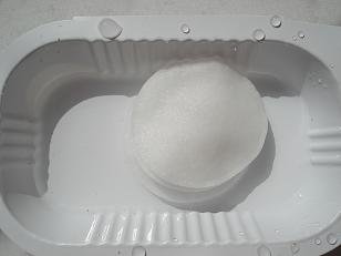 faire pousser cacahuete arachide 2