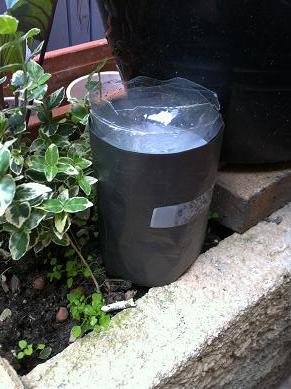 Piège anti moustiques écologiques piege moustique ecologique 12