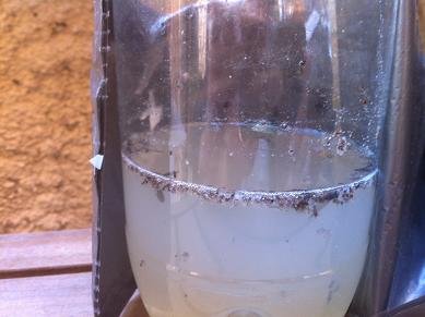 Piège anti moustiques écologiques piege moustique ecologique 15