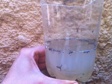 Piège anti moustiques écologiques piege moustique ecologique 18