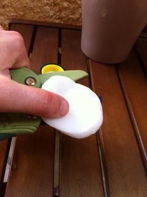 Sauver une plante grasse du gel sauver plante grasse neige 4