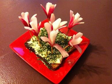 fleurs avec radis 17