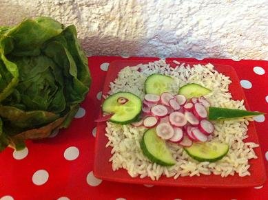 tortue concombre radis 16