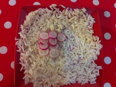 tortue concombre radis 3