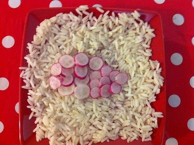 tortue concombre radis 4