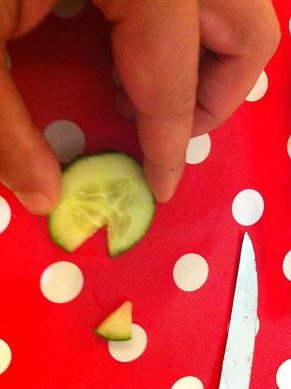 tortue concombre radis 5