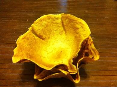 faire une coupelle avec crepe 8