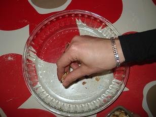 gateau yaourt poires 10