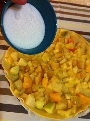 tarte cocktail de fruits 11