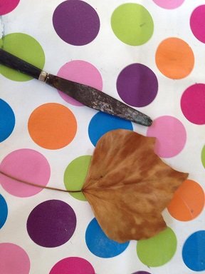 Faire un personnage monstre ou fantôme avec une feuille morte. Faire un personnage monstre ou fantôme avec une feuille morte.