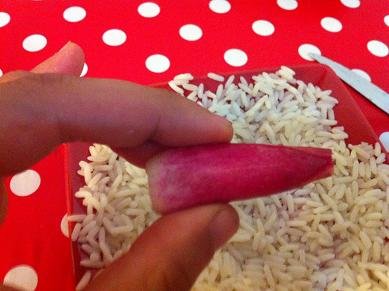 Réaliser une tortue avec un concombre et des radis.