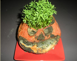 Screenshot 2023 03 16 at 07 43 23 Activite Halloween maternelle