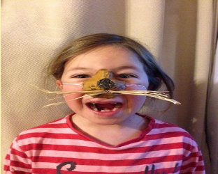 Screenshot 2023 03 17 at 10 02 49 Activite de carnaval maternelle