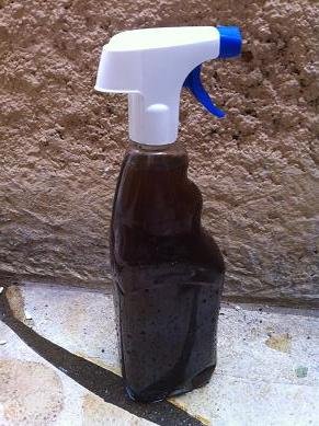 anti pucerons ecologique 9