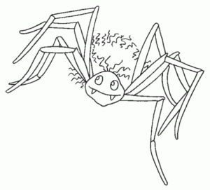 araignee-facile_595