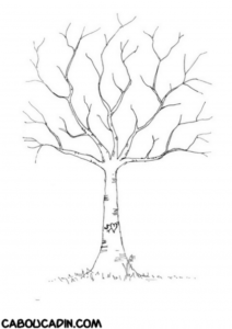 arbre-model-caboucadin_595