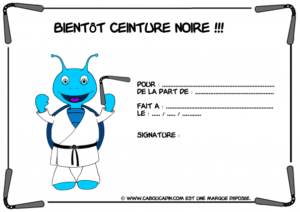 bientot-ceinture-noire-arts-martiaux_595