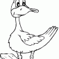 canard-3_85_cw85_ch85_thumb