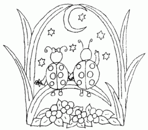 coccinelle-amoureuse_595