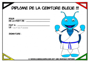 diplome-de-la-ceinture-bleue-karate-caboucadin_595