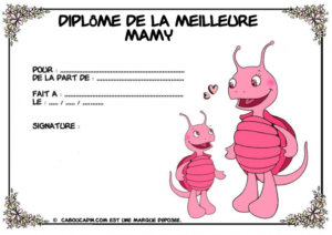 diplome-de-la-meilleur-mamy_595