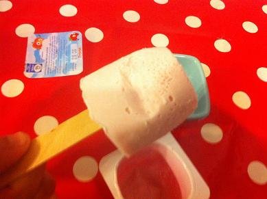 esquimaux mousse de fruits 9