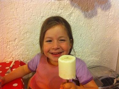 esquimaux yaourt fruits 8