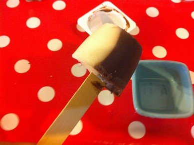 esquimaux yaourt vanille chocolat 8