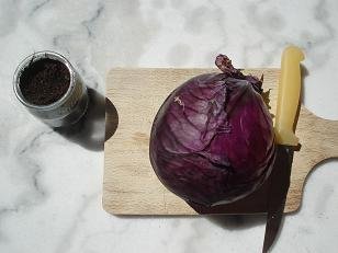 faire pousser bouture choux rouge 1