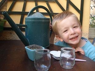 faire pousser des lentilles pour noel 1