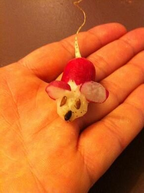 faire souris avec radis 14 rotated