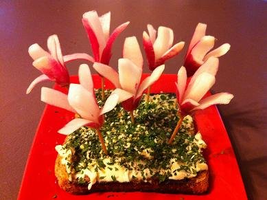 fleurs avec radis 11