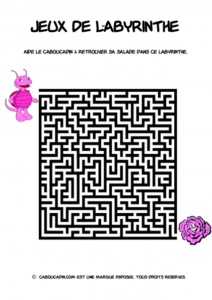 labyrinthe-pour-filles-1_595