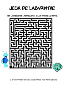labyrinthe-pour-garcons-1_595