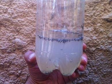 piege moustique ecologique 14