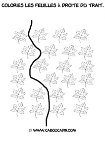 reconnaitre-a-droite-automne-1_595