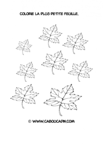 reconnaitre-plus-petite-feuille-automne-1_595