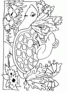 tortue-5_595