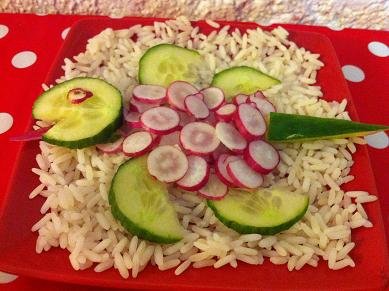 tortue concombre radis 10