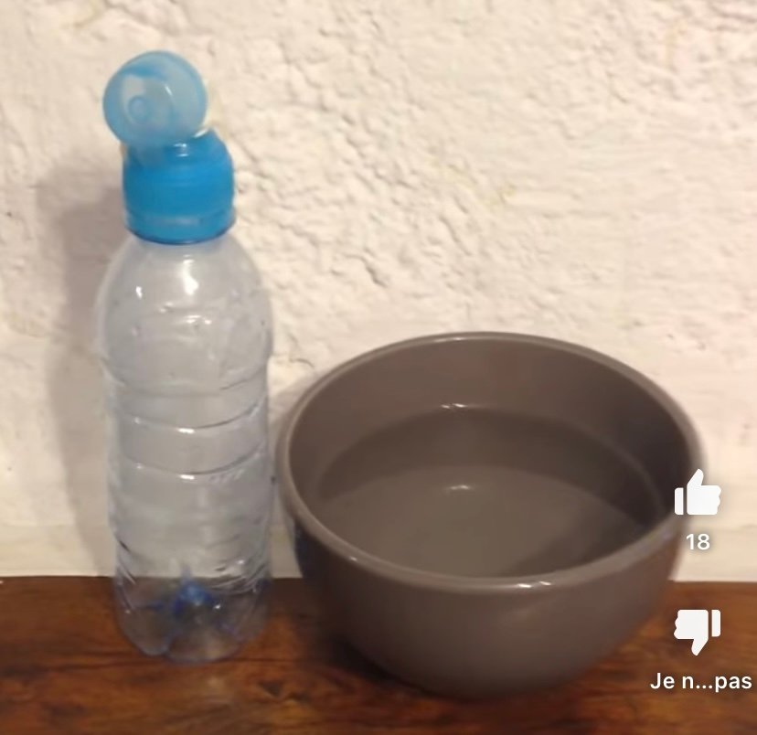 Expérience scientifique amusante pour les enfants : du ballon gonflé par la chaleur ! experience enfant ballon gonfle chaleur 1