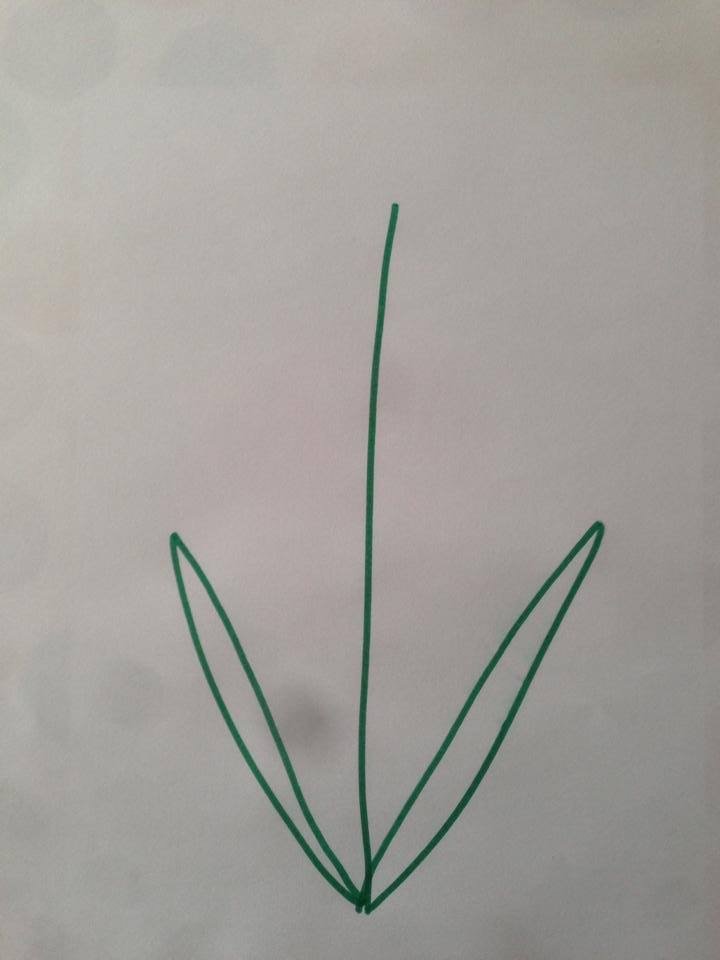 fleur avec empreinte de main 2