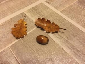 Activité manuelle facile pour Noël : Tête de renne avec des glands tete-renne-noel-avec-gland-chene-1