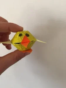 poussin avec boite a oeufs