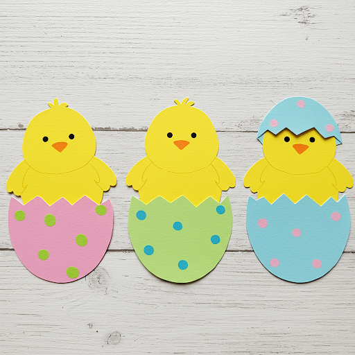 poussins colores sortant coquille 6