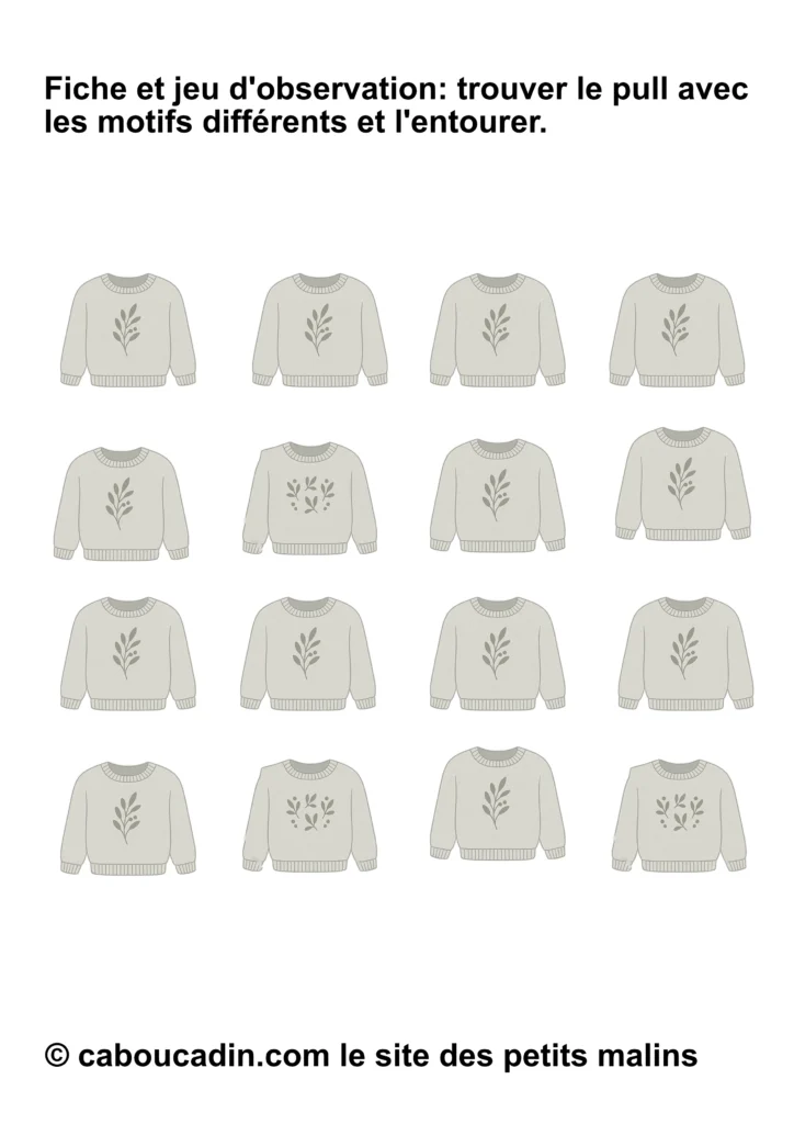fiche observation maternelle pull different intrus 1